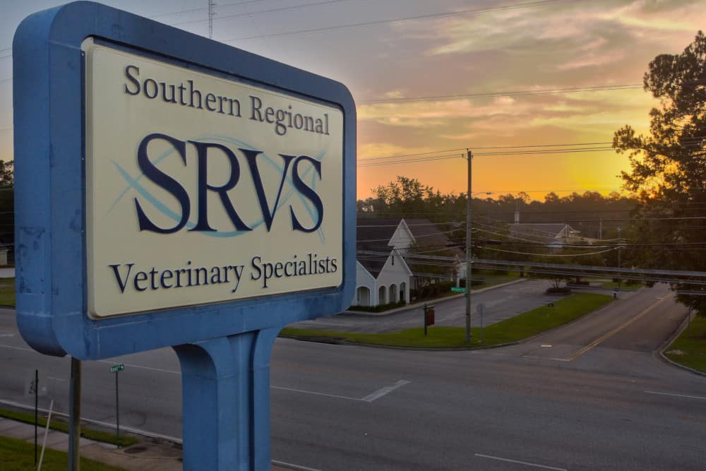 Tour Our Veterinary Hospital SRVS Tour Our Veterinary Hospital SRVS