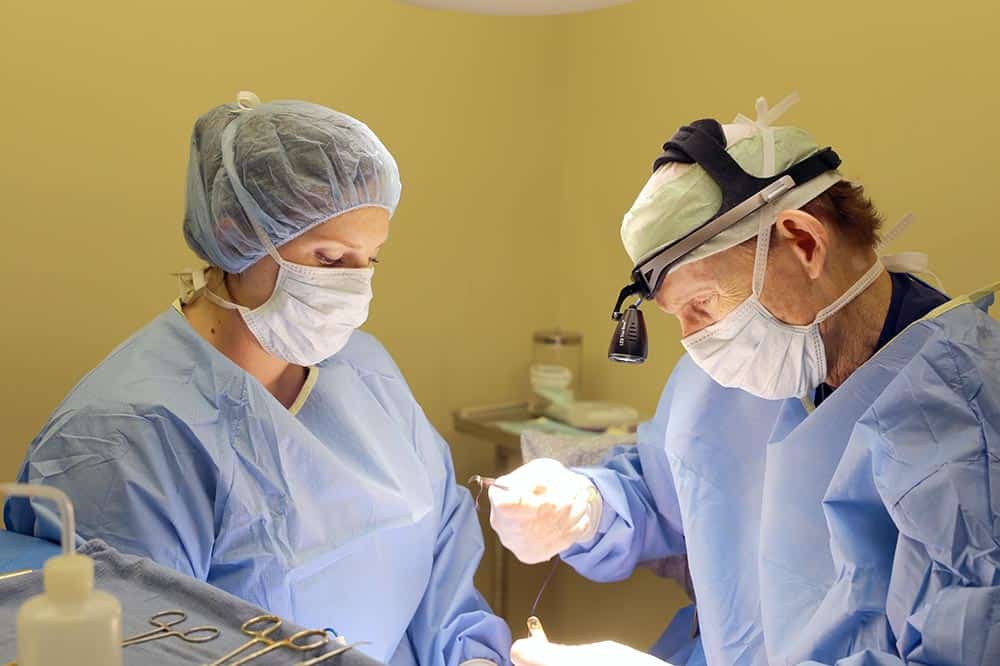 Minimally Invasive Veterinary Surgery