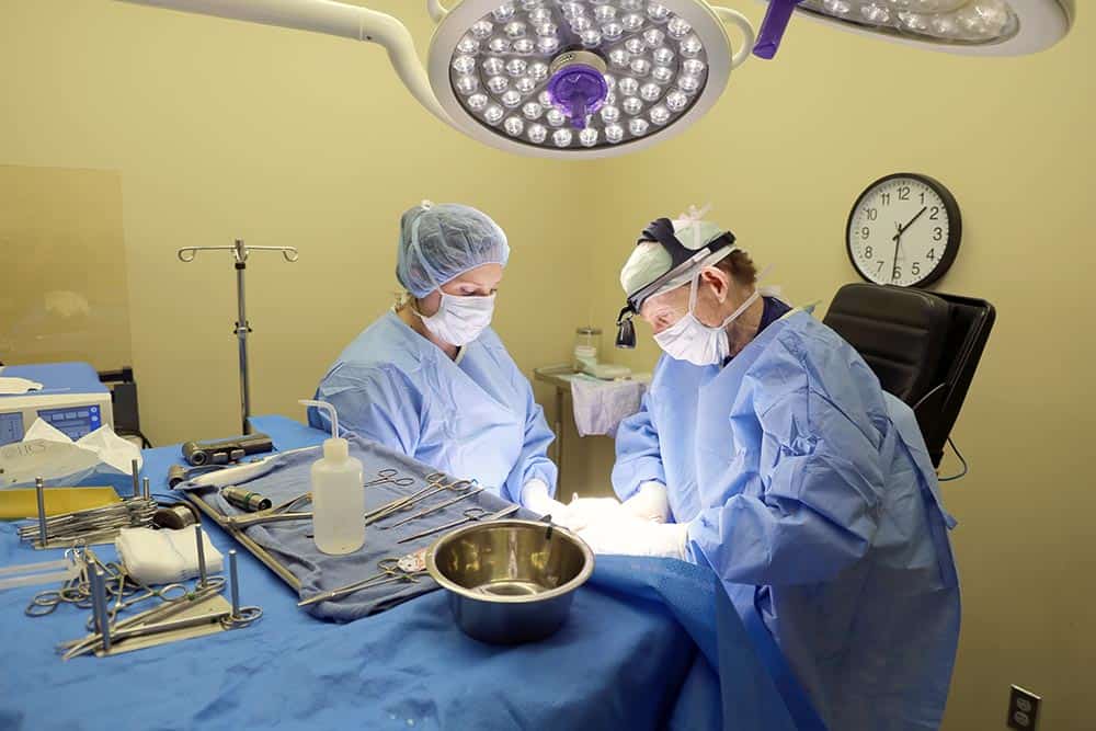 Vet Surgery